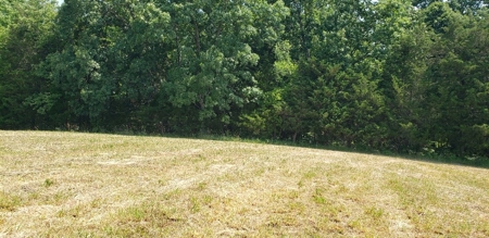 2439 Rankin Mill Rd. Falmouth Ky. 41040 Hunting & Livestock - image 24