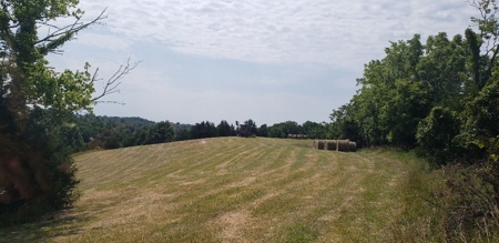 2439 Rankin Mill Rd. Falmouth Ky. 41040 Hunting & Livestock - image 11