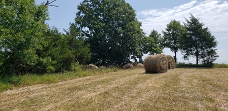 2439 Rankin Mill Rd. Falmouth Ky. 41040 Hunting & Livestock - image 21