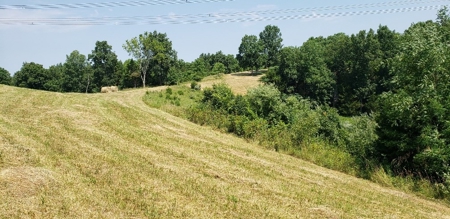 2439 Rankin Mill Rd. Falmouth Ky. 41040 Hunting & Livestock - image 32
