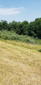 2439 Rankin Mill Rd. Falmouth Ky. 41040 Hunting & Livestock - image 40
