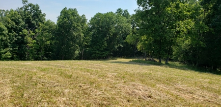 2439 Rankin Mill Rd. Falmouth Ky. 41040 Hunting & Livestock - image 37