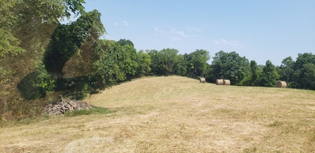 2439 Rankin Mill Rd. Falmouth Ky. 41040 Hunting & Livestock - image 36