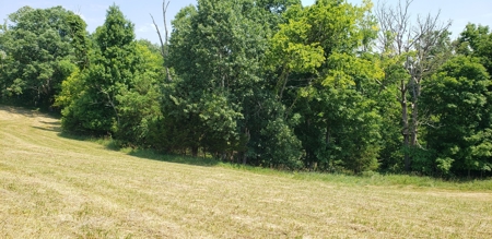 2439 Rankin Mill Rd. Falmouth Ky. 41040 Hunting & Livestock - image 38