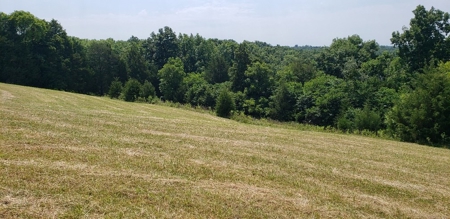 2439 Rankin Mill Rd. Falmouth Ky. 41040 Hunting & Livestock - image 16