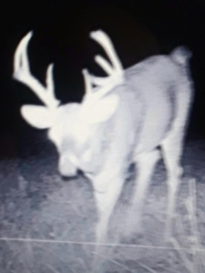 2439 Rankin Mill Rd. Falmouth Ky. 41040 Hunting & Livestock - image 6