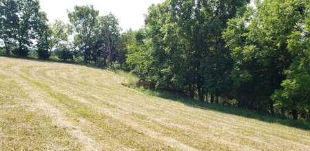 2439 Rankin Mill Rd. Falmouth Ky. 41040 Hunting & Livestock - image 20
