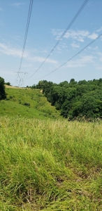 2439 Rankin Mill Rd. Falmouth Ky. 41040 Hunting & Livestock - image 27