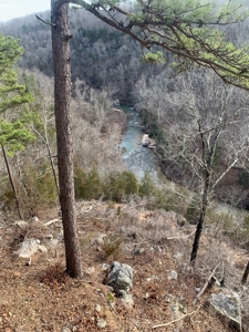 Creek Paradise With Views - image 28