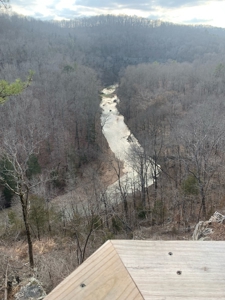 Creek Paradise With Views - image 27
