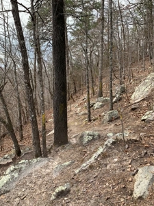 Creek Paradise With Views - image 14