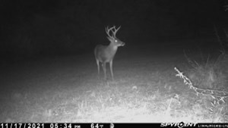 35.3 Acres Land for Sale Amite County, MS - image 14