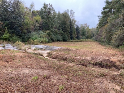 35.3 Acres Land for Sale Amite County, MS - image 6