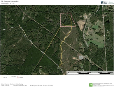 35.3 Acres Land for Sale Amite County, MS - image 21