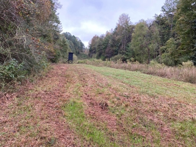35.3 Acres Land for Sale Amite County, MS - image 7