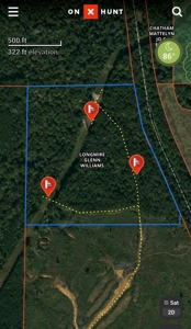 35.3 Acres Land for Sale Amite County, MS - image 18