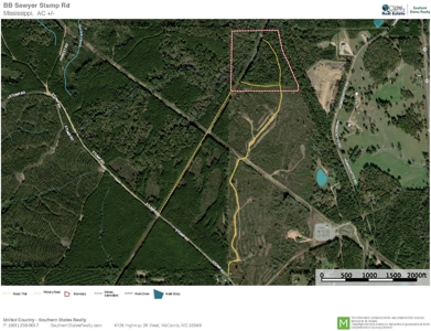 35.3 Acres Land for Sale Amite County, MS - image 22
