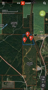 35.3 Acres Land for Sale Amite County, MS - image 19
