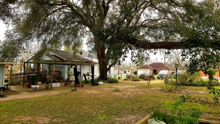 Investment Property, Great Flip Home in Port Arthur Texas - image 38