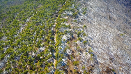 Recreational & Hunting Land For Sale Honobia Oklahoma - image 6
