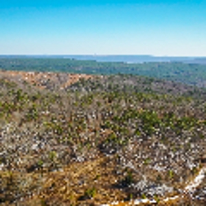 Recreational & Hunting Land For Sale Honobia Oklahoma - image 26
