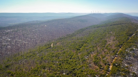 Recreational & Hunting Land For Sale Honobia Oklahoma - image 7