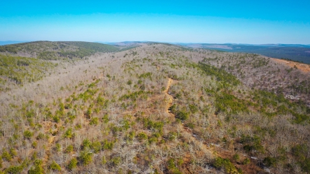 Recreational & Hunting Land For Sale Honobia Oklahoma - image 9