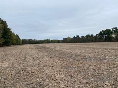 137 Acres Big Creek Bottom For Sale Nw Mo - image 5