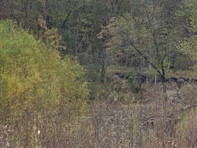 137 Acres Big Creek Bottom For Sale Nw Mo - image 8