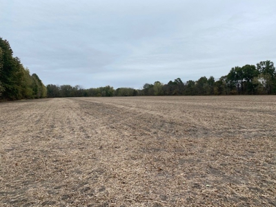 137 Acres Big Creek Bottom For Sale Nw Mo - image 6
