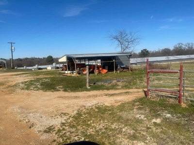 Poultry Broiler Farm with Residential  House For Sale - image 6