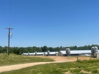 Poultry Broiler Farm with Residential  House For Sale - image 12