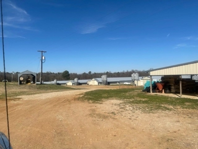 Poultry Broiler Farm with Residential  House For Sale - image 2