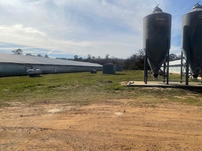 Poultry Broiler Farm with Residential  House For Sale - image 5