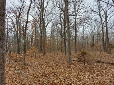 Land For Sale!10+/- Acres Vacant Land! Hunt, Camp or Build! - image 2