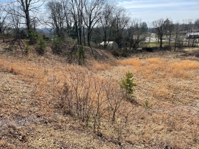 Land in city limits of Liberty KY to build on - image 12