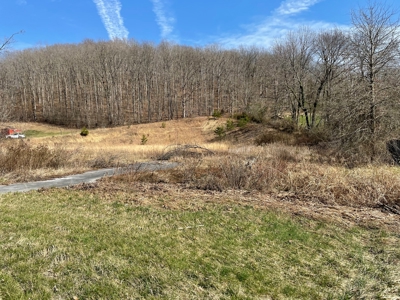 Land in city limits of Liberty KY to build on - image 6