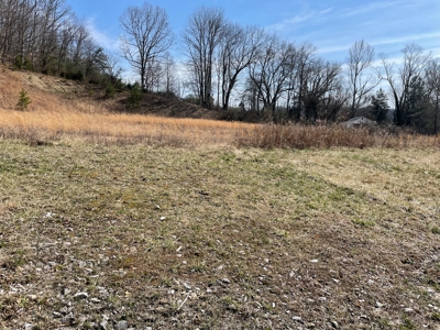 Land in city limits of Liberty KY to build on - image 8