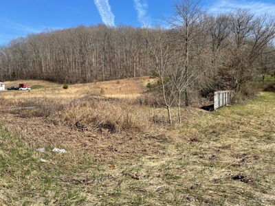 Land in city limits of Liberty KY to build on - image 3
