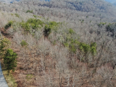 Wooded Lot for Sale Online Auction Claiborne County TN - image 15