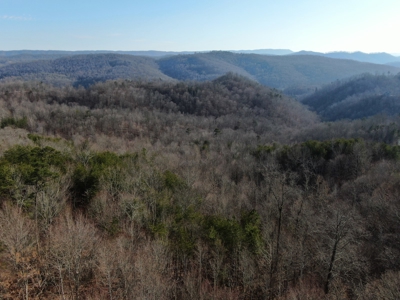 Wooded Lot for Sale Online Auction Claiborne County TN - image 18