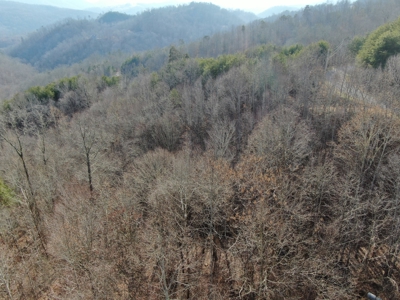 Wooded Lot for Sale Online Auction Claiborne County TN - image 22