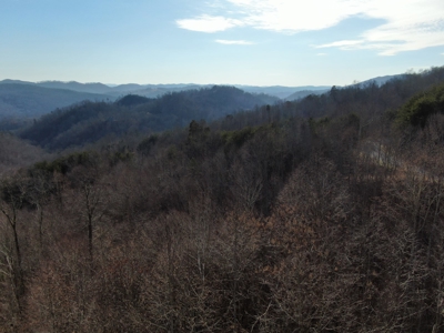 Wooded Lot for Sale Online Auction Claiborne County TN - image 23