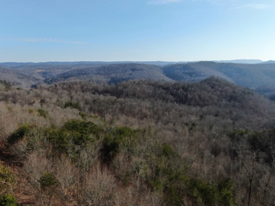 Wooded Lot for Sale Online Auction Claiborne County TN - image 17