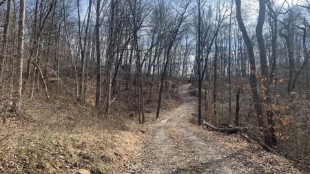 Meigs County Ohio land for sale. - image 3