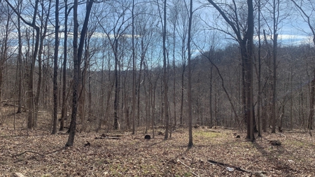 Meigs County Ohio land for sale. - image 9