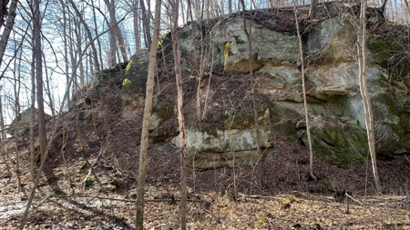 Meigs County Ohio land for sale. - image 31