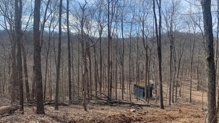 Meigs County Ohio land for sale. - image 13