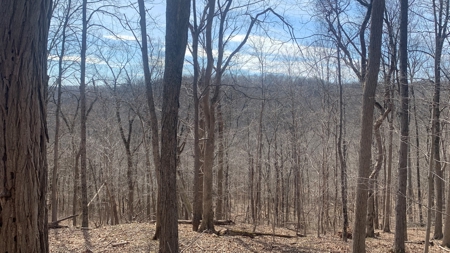 Meigs County Ohio land for sale. - image 17