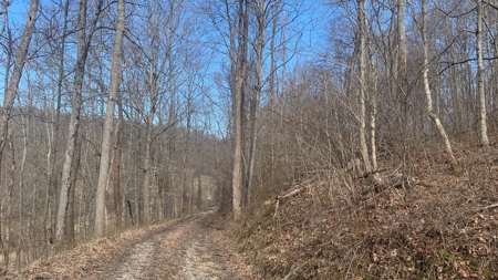 Meigs County Ohio land for sale. - image 2